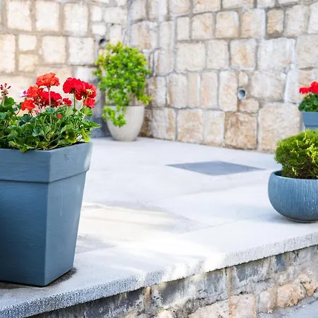 Prato Πανσιόν