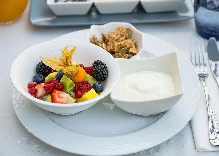 招待所 普拉托别墅酒店 布拉索夫